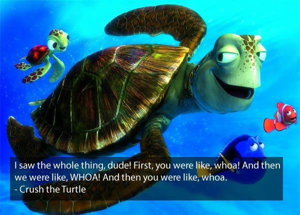 Crush-The-Turtle-Finding-Nemo-Quote-I-saw-the-whole-thing-dude